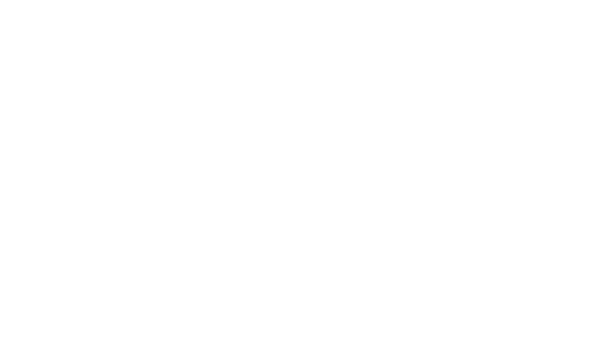 SV Group